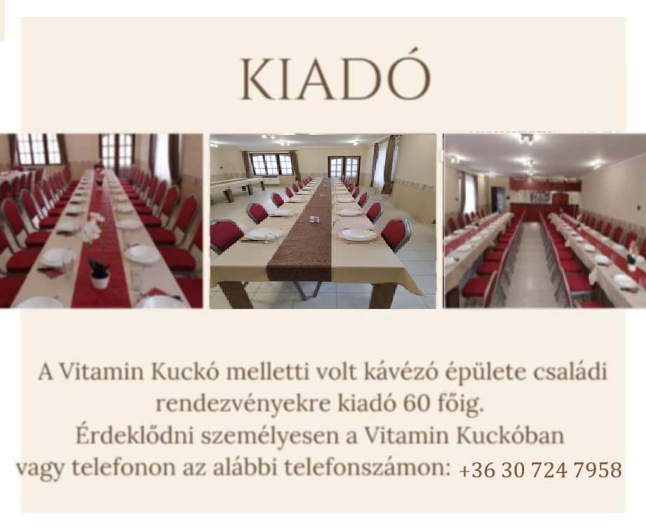 Party Kucko